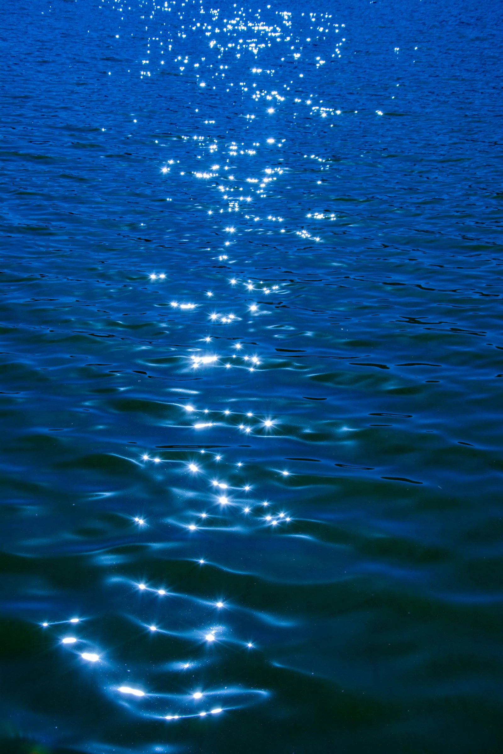 Purified Water
